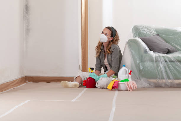 Reliable Mold Remediation contractor in Palmyra, NJ by Cheap Mold Removal